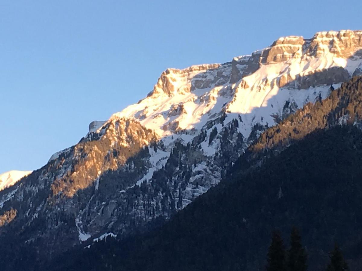 Ferienwohnung Interlaken/Wilderswil Dış mekan fotoğraf