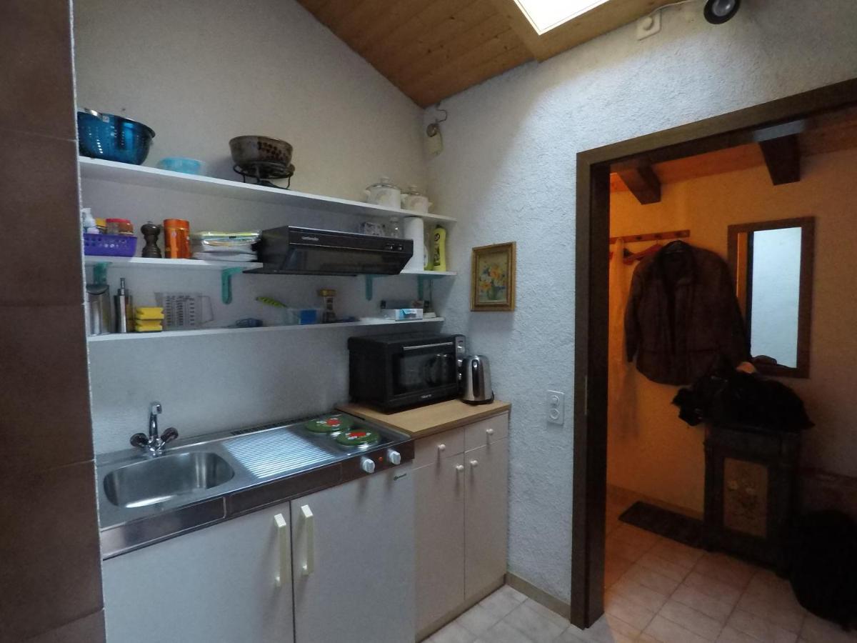 Ferienwohnung Interlaken/Wilderswil Dış mekan fotoğraf